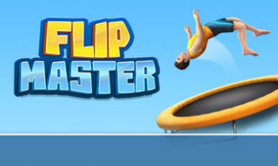 Flip Master img