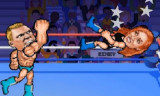Wrestle Bros background